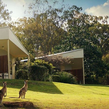 Boonah Valley Motel Exteriér fotografie