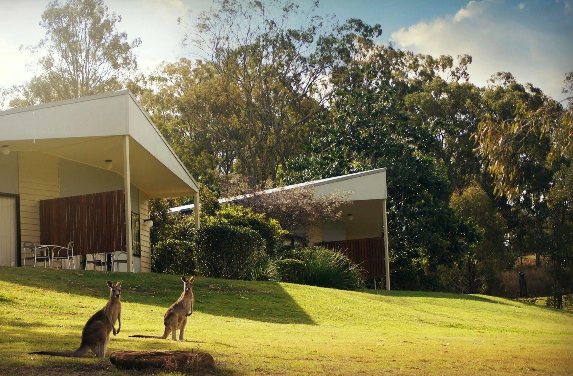Boonah Valley Motel Exteriér fotografie